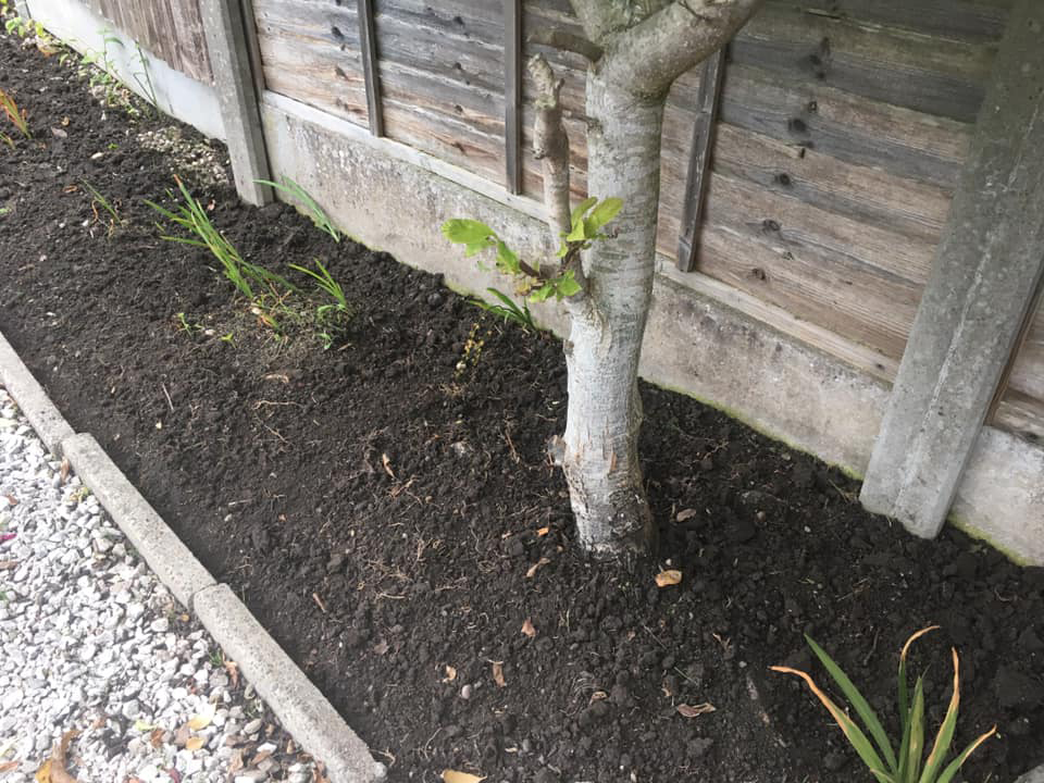 Total Home & Garden Handyman Services | Handyman Crewe | Garden Tidying After